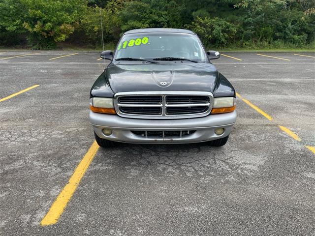 Used cars