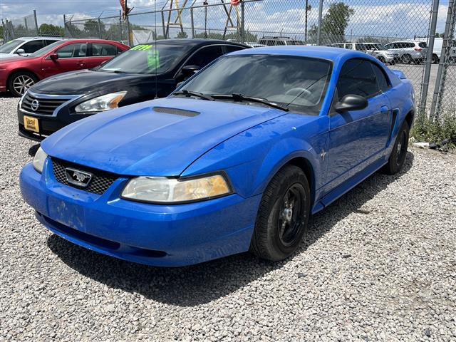 Used Cars