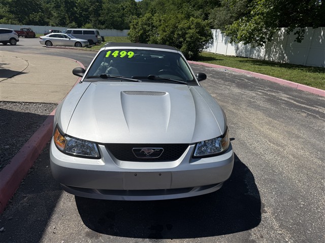 Used Cars
