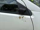 Used car